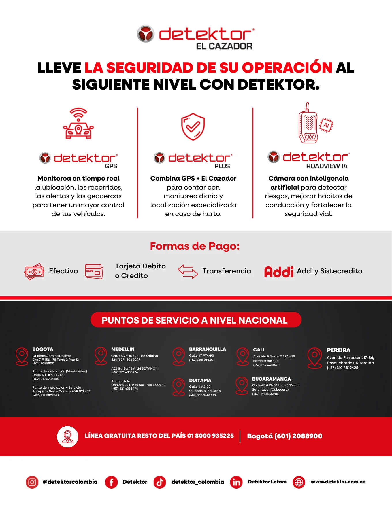 El Cazador - página 8